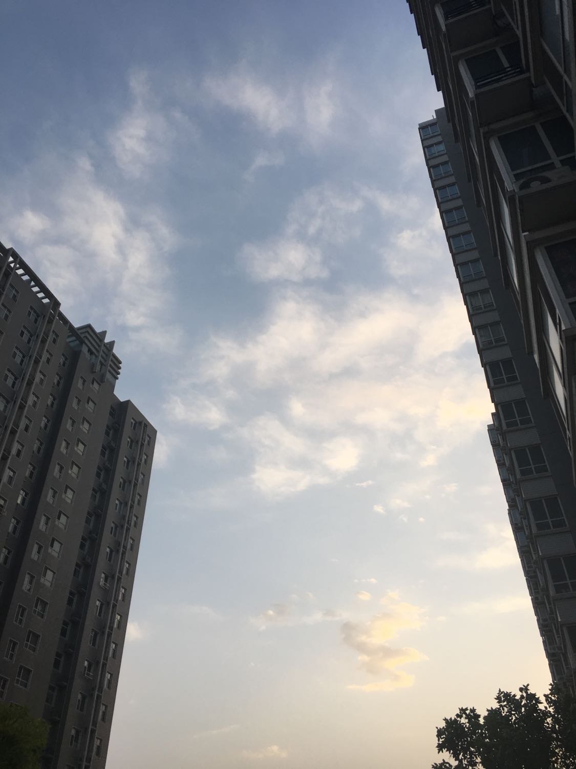 【石家庄栾城区一地划为高风险区/石家庄栾城区疫情风险等级】-第1张图片