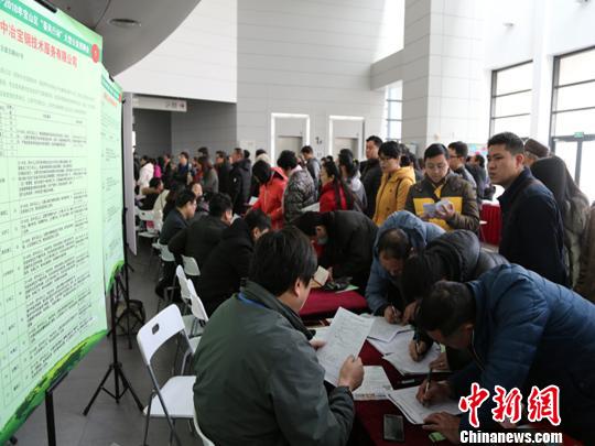 上海返乡政策最新.上海返乡政策最新规定-第2张图片