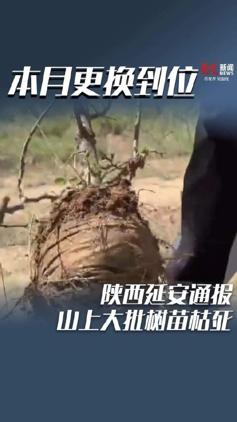 「陕西最新的疫情情况」〃陕西最新疫情状况-第3张图片