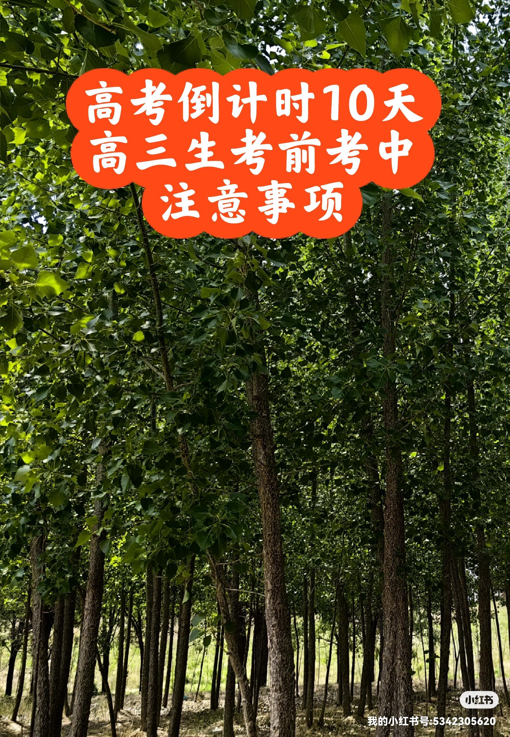 今年高考一共考几天︰(今年高考到底考几天)