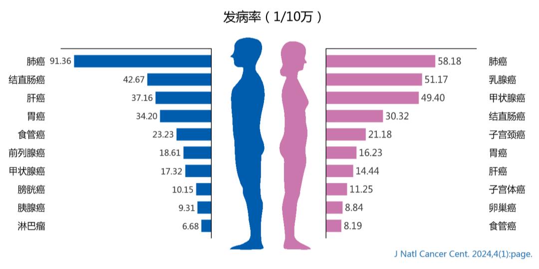 全国疫情实时更新数世界︰(全国疫情实时数据世界)-第2张图片