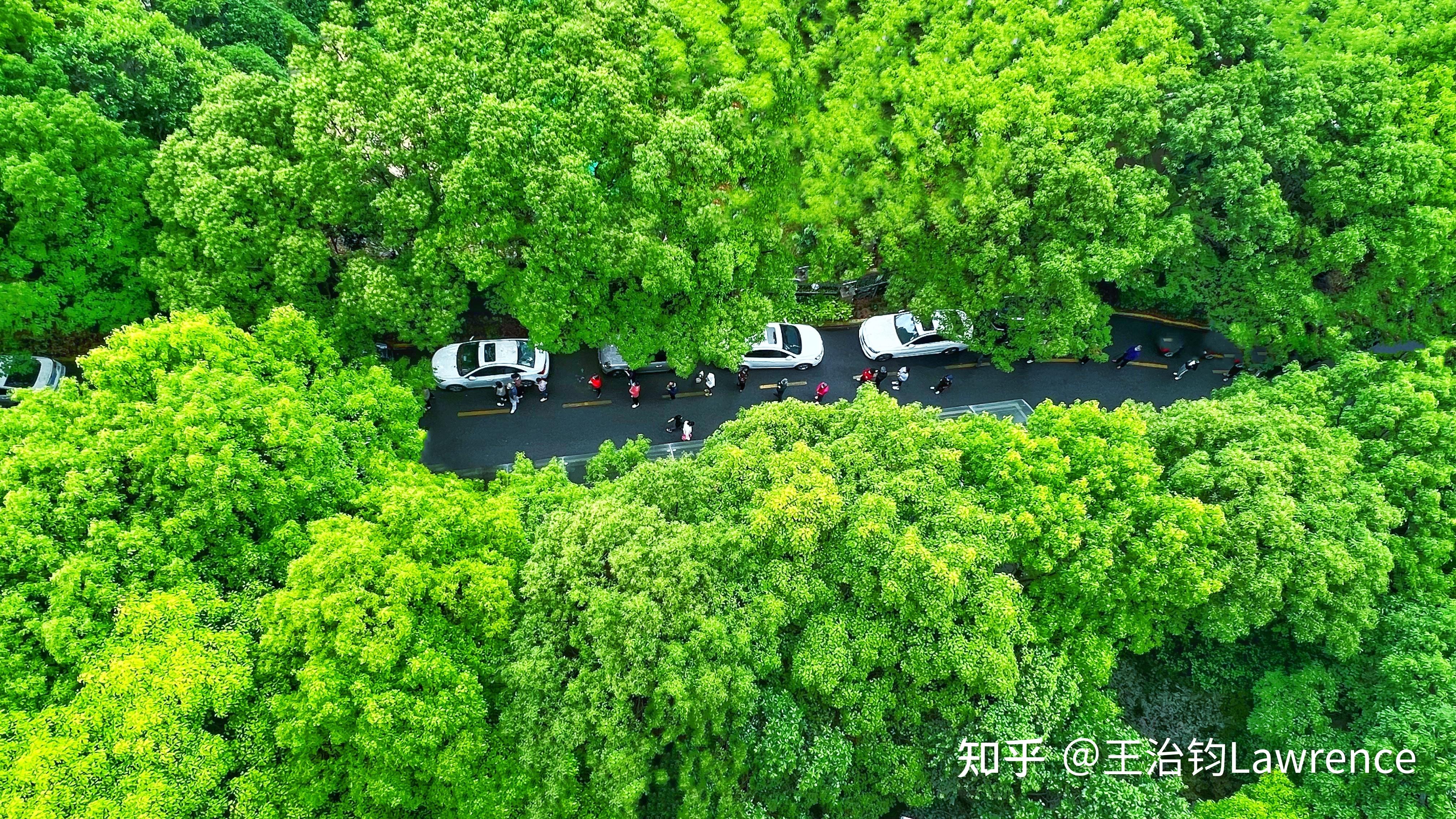上海新增1例本土确诊64例无症状的简单介绍-第2张图片