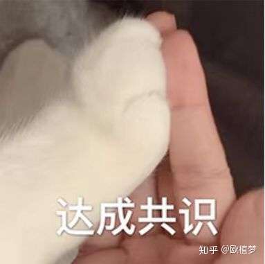 【31省新增本土61例/31省新增本土61例31】