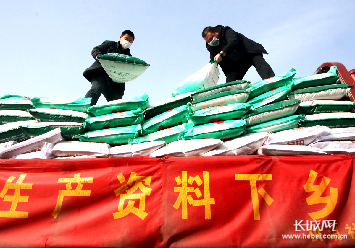 河北:疫情源头待查︰(河北疫情源头到底在哪里)-第2张图片
