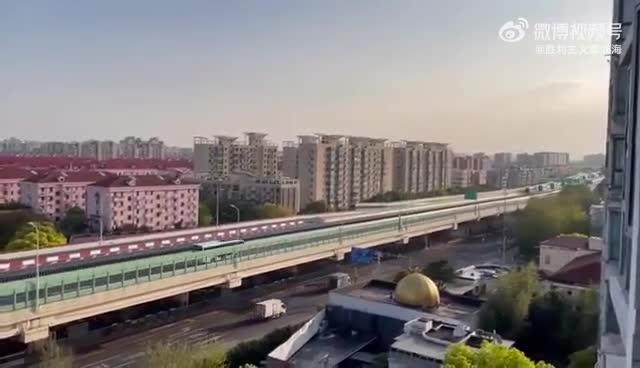 “上海疫情为什么这么严重” 上海疫情防控为什么这么好？-第1张图片