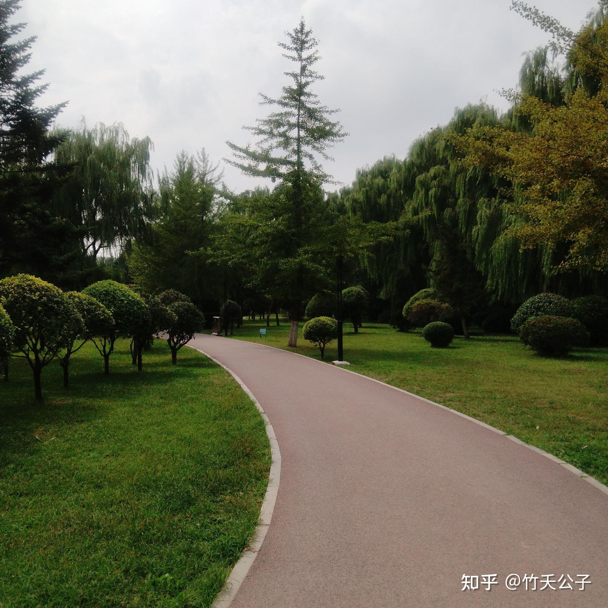 正午是几点.正午是几点几分-第3张图片